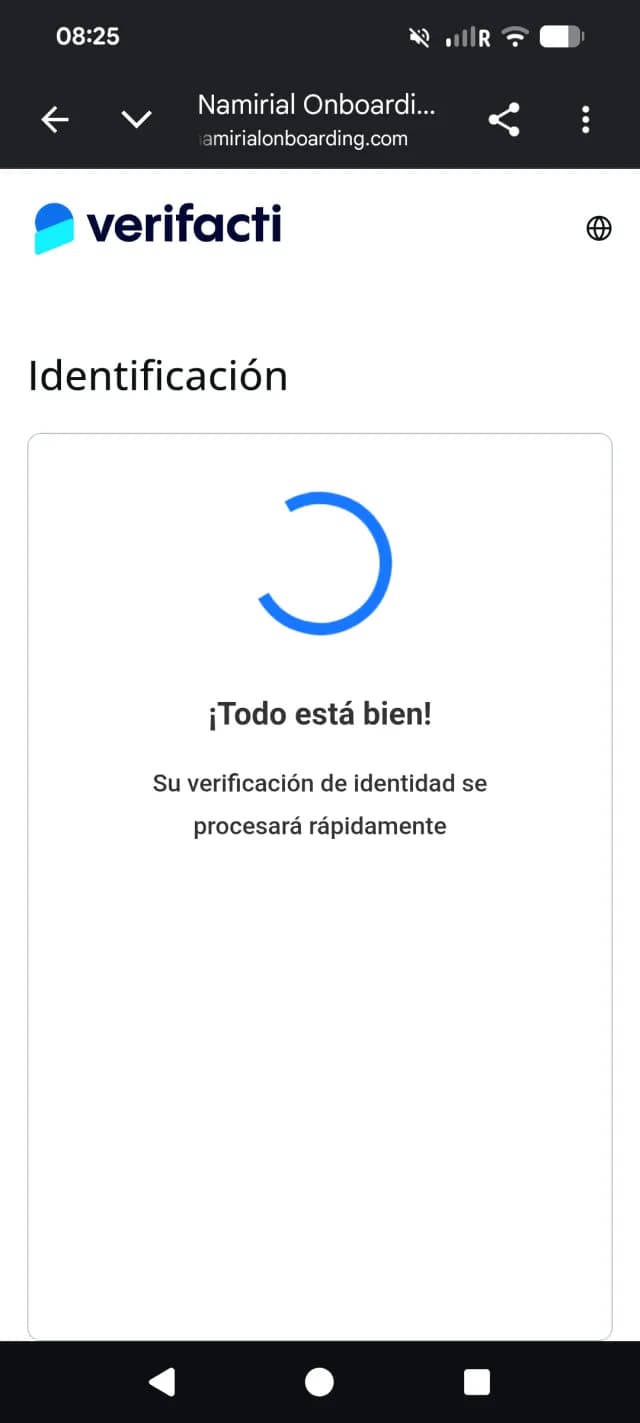 Identity verification in progress screen